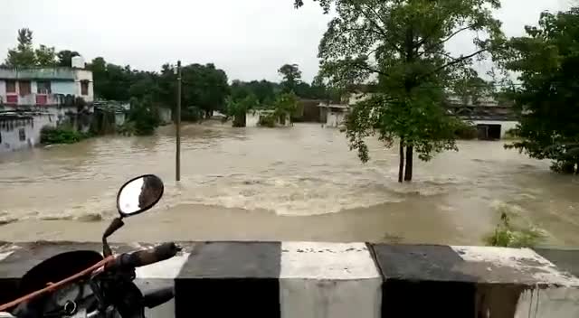 मांझा: #गोपालगंज #मांझा- देवापुर में बाढ़ ने मचायी तबाही.