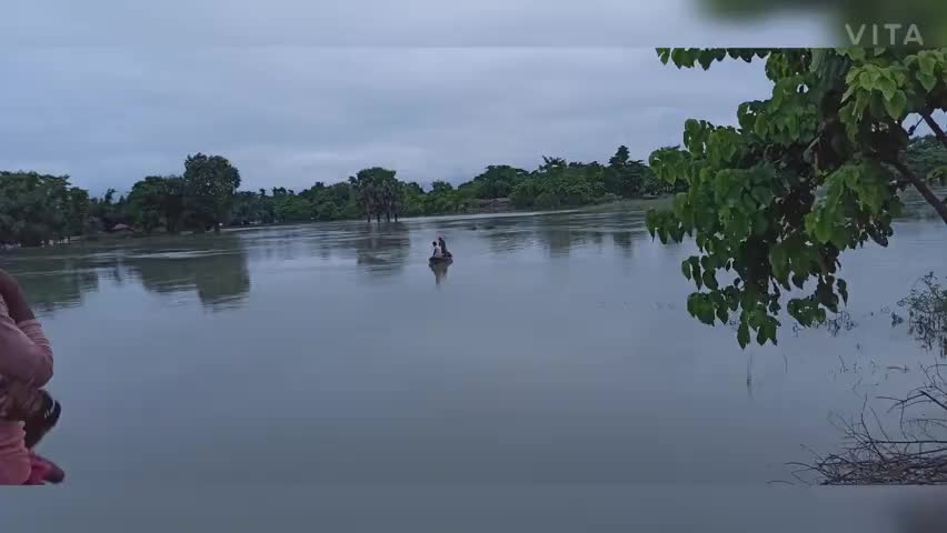 साहेबगंज: माधोपुर हजारी के  दियारा क्षेत्र में दिखा हिरण॥ #biharflood #madhopurhazari #deerrescue #floodinbihar #sahebganj