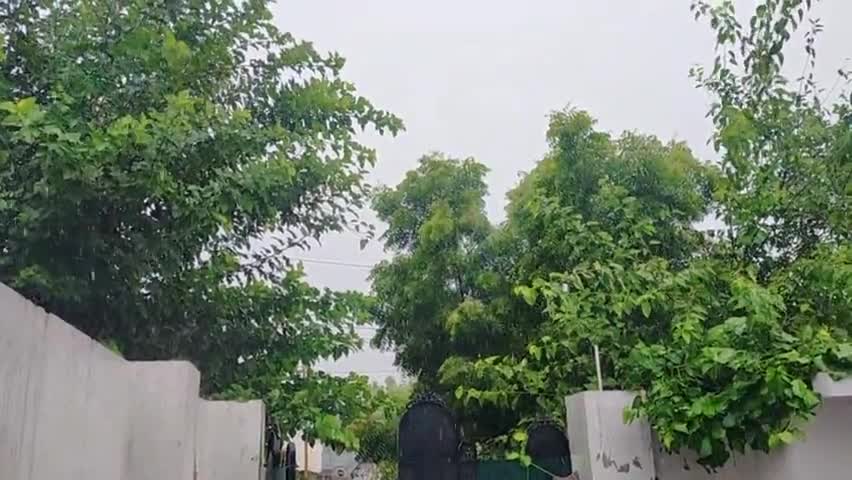 बरेली: बरेली में हुई आज तेज बारिश , तापमान गिरने के आसार। #coronawarrior #rainyday #newsforyou