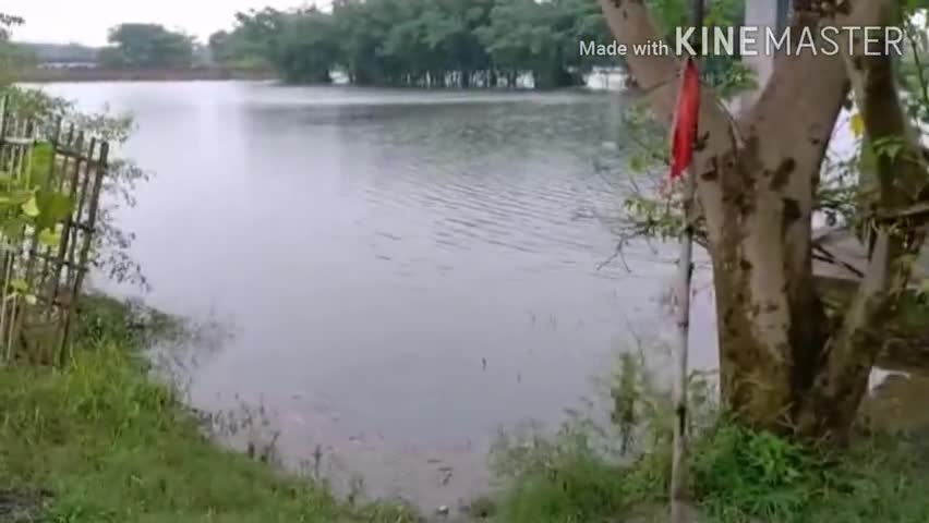 अरेराज: #अरेराज खजुरिया पथ में भवानीपुर उतरी टोला में बांध टूट गया