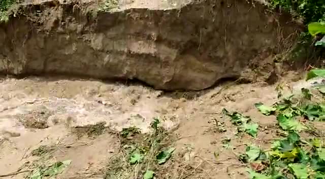 बैकुंठपुर: #Danger bandh tut gya sanwaliya Dhaka ka Jo Paani aa rha hai Jo Rajapatti me aayega.