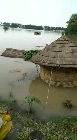 पानापुर: पानापुर मरवां के बांध पर लगातार दबाव बढ़ते जा रहा है #panapur #badh
