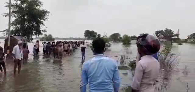 गोरेयाकोठी: सिवान जिला के जामो नेहुरी मे बाढ का ताजा खबर       #jamo #nehuri #baad #गोपालगंज_बाढ़