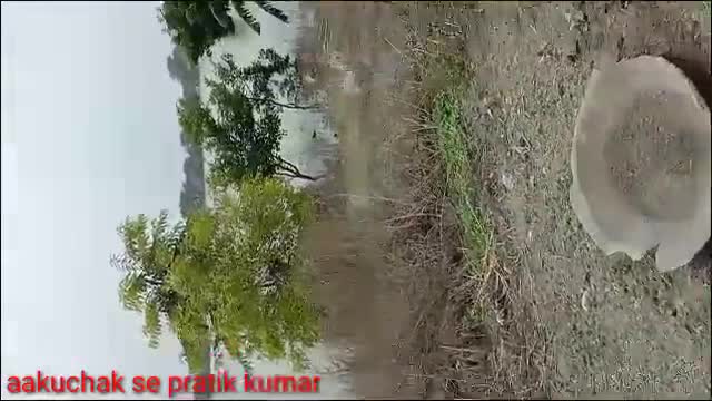 तरैया: तरैया, आकुचक में गंडक नदी का पानी घर के अन्दर घुस जाने के कारण लोग बांध पर रहने को बेबस#taraiya