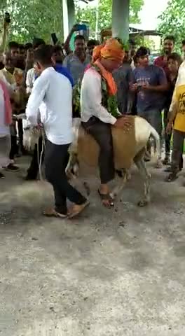 राजगढ़: गांव में पटेल को गधे पर बिठाकर जुलूस निकाला ताकी बारिश हो जायै #savan