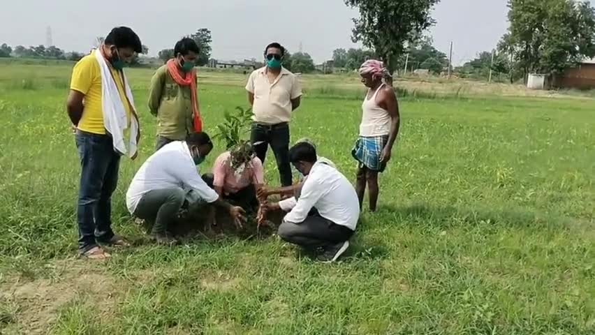 मयूरहंड: पर्यावरण संरक्षण को लेकर मयूरहण्ड प्रमुख ने किया वृक्षारोपण #पर्यावरण_संरक्षण