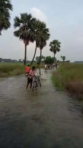 छपरा: panapur me badh aa gaya#pablick ﻿#panapur bajar chappra saran