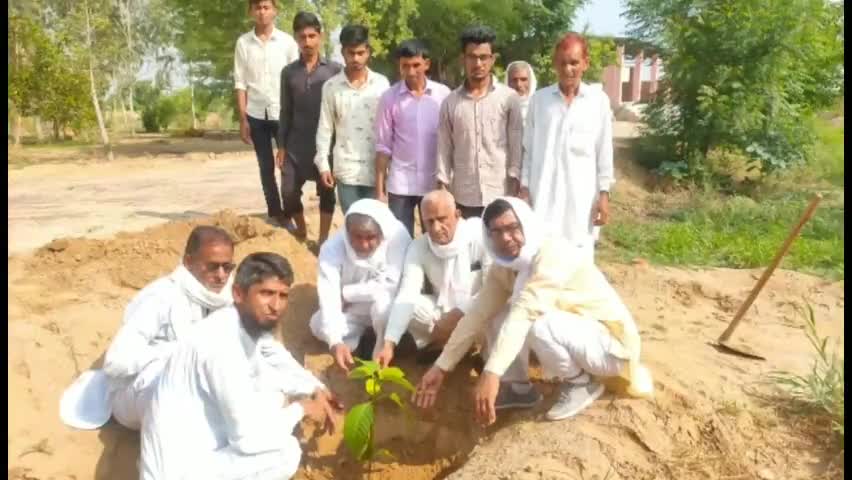 नोहर: फेफाना में कब्रिस्तान संचालन समिति ने कब्रिस्तान में चलाया पौधारोपण अभियान, लगाए 300 छायादार व फलदार पौधे #पौधे