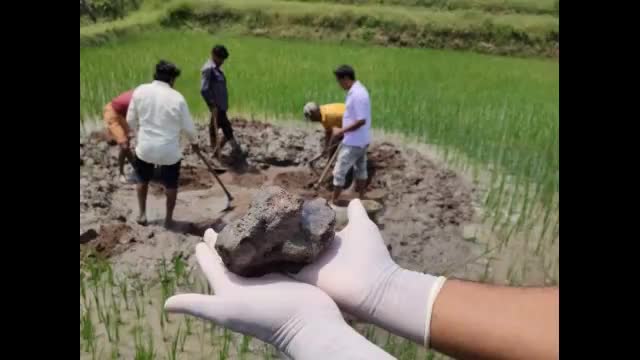 धमतरी: 5 साल बाद खुला हाथी की मौत का हैरान करने वाला राज…मौत के बाद हाथी को काटा टुकड़ों में फिर दफन कर दिया #umeshsinhacfn