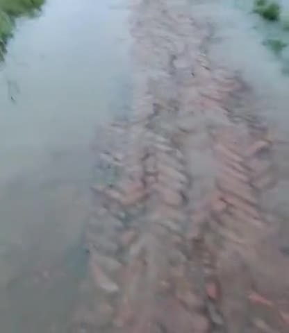 तरैया: hamare taraiya prakhand pe pokhrera gaw me baad ka pani ghus gaya hai
#taraiya
