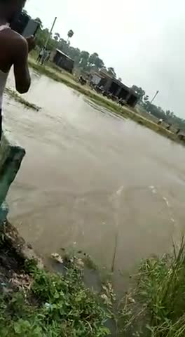 पानापुर: बाढ़ का पानी ग्राम  दूबौली, पानापुर पार करने लगा।#panapur #badh #badh