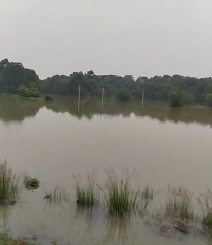 दरभंगा: दरभंगा
बहादुरपुर  थाना  के खराजपुर बांध में खतरा बढ़ गया है#darbhanga #biharassemblyelection2020 #