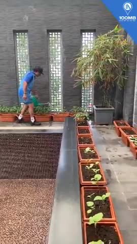 My kitchen garden. 😊
We can all take small steps towards sustainability.
#WorldNatureConservationDay
#सचिन