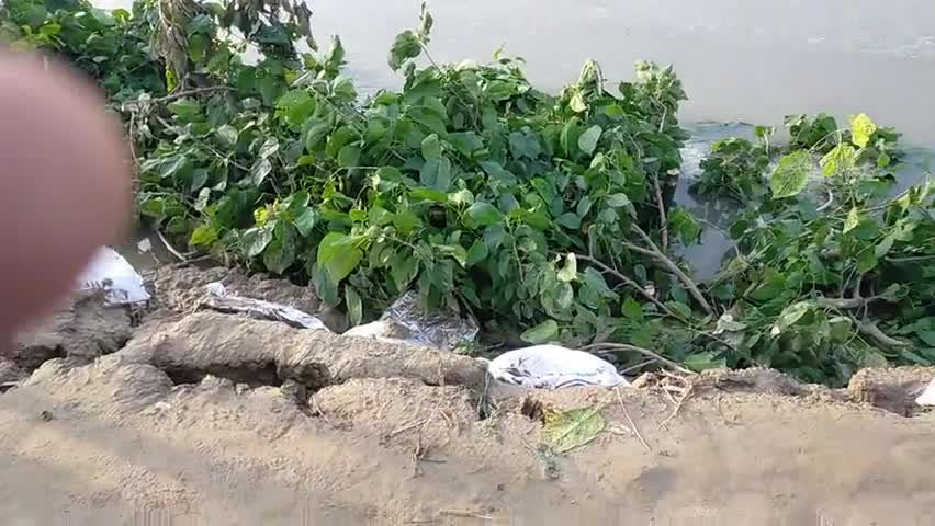 दरभंगा: sulesh gate ka pura coverage dekhe subah 6:15 mint per apke apne channel #dastaknews par #biharflood2020