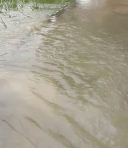 बेनीपुर: benipur chatra##जेसीबी ﻿@
