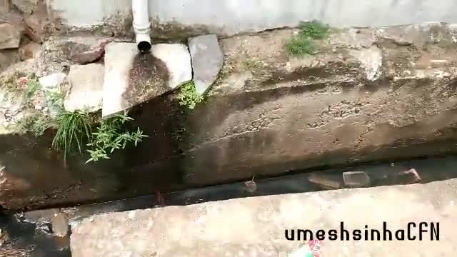 धमतरी: महिमा सागर वार्ड में नाली निर्माण कार्य अधूरा  !! मवेशी की मौत का कारण  बना यह नाली #umeshsinhacfn ﻿#dhamtari