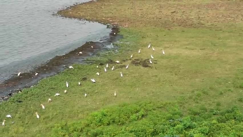 बालोद: तांदुला जलाशय बालोद में आज का खूबसूरत नजारा..
#balod #balodct #tandula #dam #chhattisgarh #balodct
