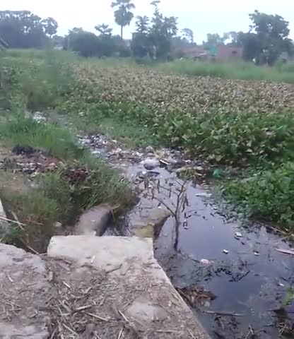 गढ़पुरा: #rainyseasan ye Rajaur gaw me Harish Ka Pani hai