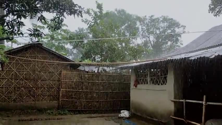 दिघलबैंक: मानसून की बारिश , #दिघलबैंक #किशनगंज #बिहार