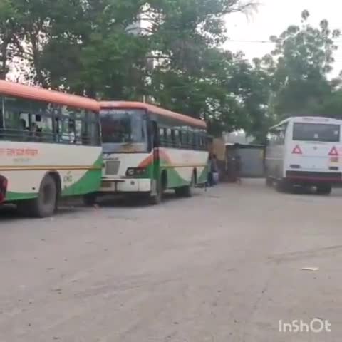 दादरी: नोएडा में परिवहन विभाग ने ईद व रक्षाबंधन के त्योहारों के मद्देनजर शुरू किया अतरिक्त बसों का परिचालन #परिवहन_विभाग