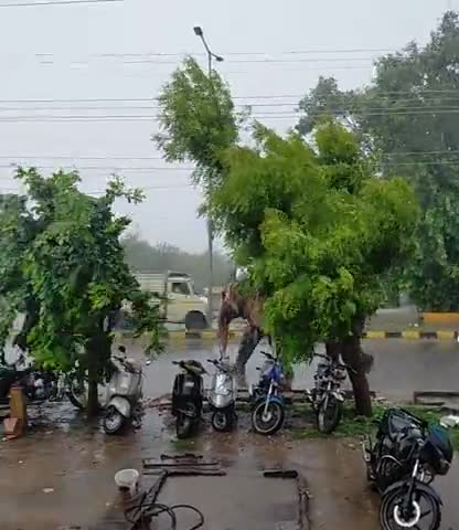 जयपुर: Jodhpur Rajasthan Mai bhaari baarish
#baarish #weather #rajasthannews #news18rajasthan