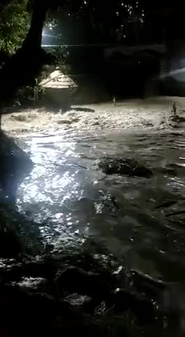 गोपालगंज बाढ़ कहर 
#floodinbihar
