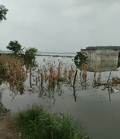 गोरखपुर: sahjanwa ke gahasand me badha se safalta tafri#gorkhpur #gahasand