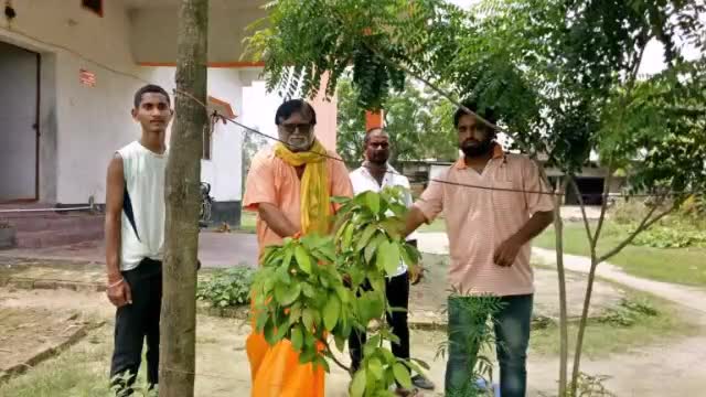मधुबनी: हरदेव प्रसाद उच्च विद्यालय मधुबनी के पूर्व प्राचार्य ने रक्षा सूत्र बांधकर वृक्षों की सुरक्षा का लिया संकल्प #रक्षा_बंधन