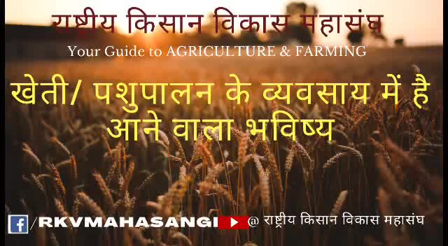 खेती एक आधुनिक व्यापार
#राष्ट्रीयकिसानविकासमहासंघ के #यूटुब से जुड़े #खेती की समस्त जानकारी हेतु