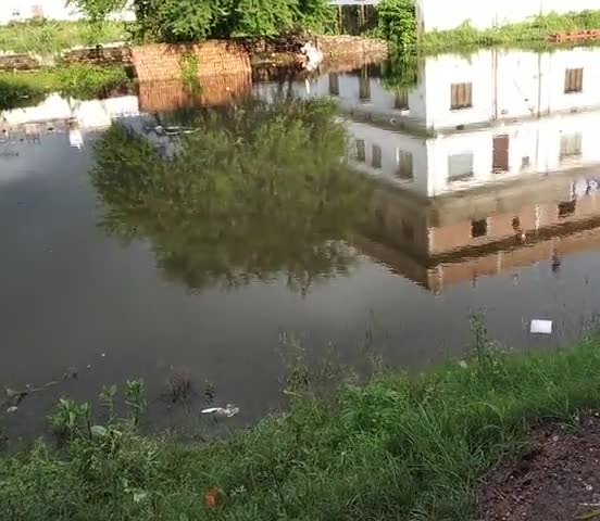 दलसिंहसराय: #दलसिंहसराय चक नवादा में स्थित चक नवादा गांव की चारों तरफ पानी का जलजमाव अधिक तेजी से बढ़ता हुआ बलान  नदी का पानी