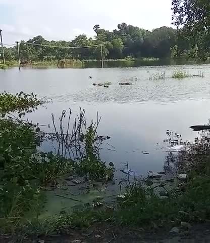 पातेपुर: #shahpur_bujurg #sukki #patepur me बाढ़ की istiti hai