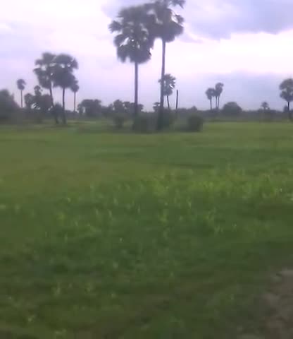 अरियरी: #rains Roh farmer very happy
﻿#roh