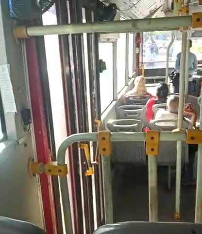 सरस्वती विहार: MANGOLPURI KE PATHAR MARKET ME FASI BUS NO PARKING﻿ #NOPARKING