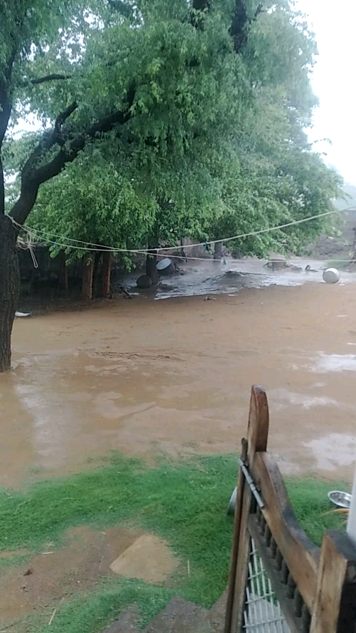 चूरू: चुरू के गांव सातड़ा में तेज हवाओं के साथ तेज ☔बारिश, वह चिलचिलाती गर्मी से राहत मिली
#churunews #churu_baarish # nationa