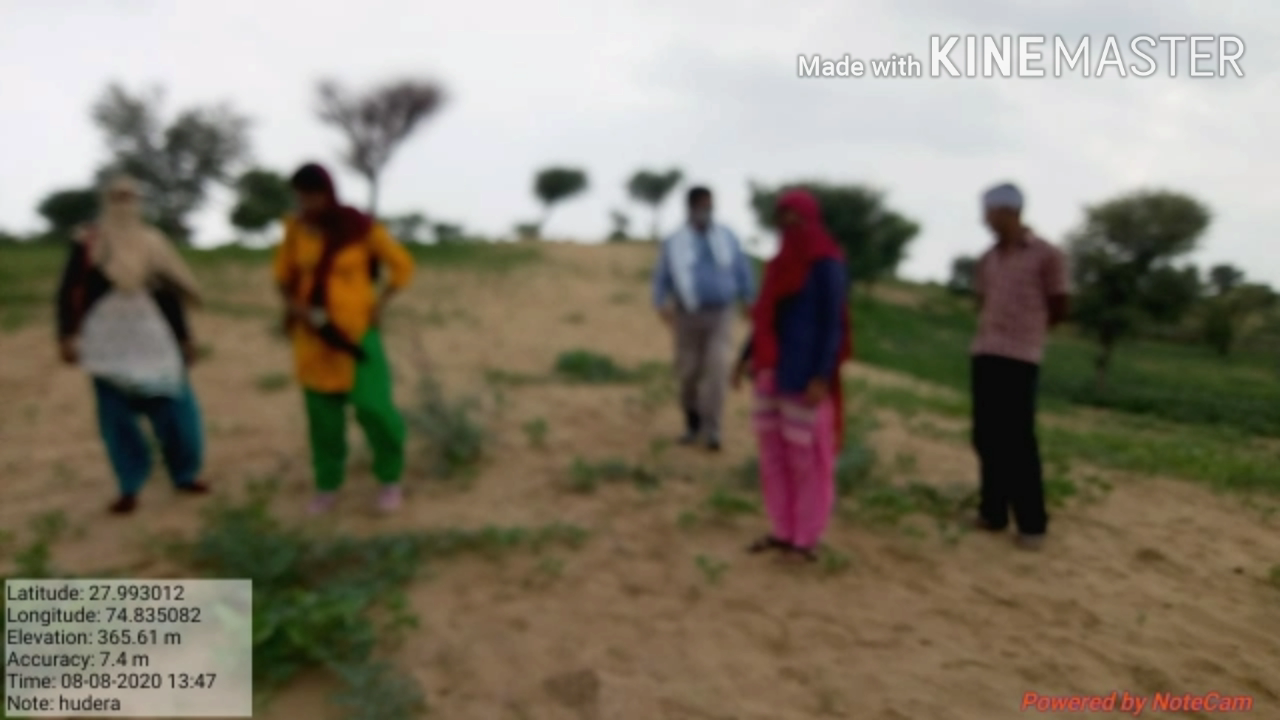 सीकर: जिले के कई इलाकों में गत दिनों टिड्डी फाके के खात्मे का कृषि विभाग के अधिकारियों ने किया निरीक्षण #कृषि_विभाग
