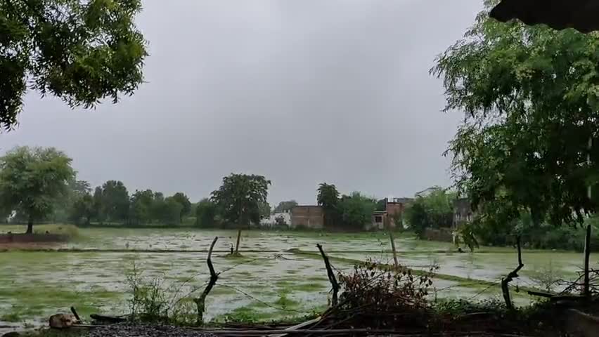 बालोद: आज सुबह से हो रही बालोद जिले में बारिश से, किसानों में खुशी...
#barish #balodct #balod #chhattisgarh