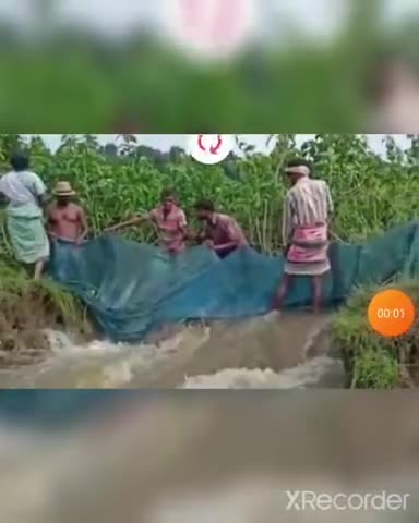 बेरो: #Bero . jamtoli dam me lakho machiliya talab se bahar aa gaye﻿@