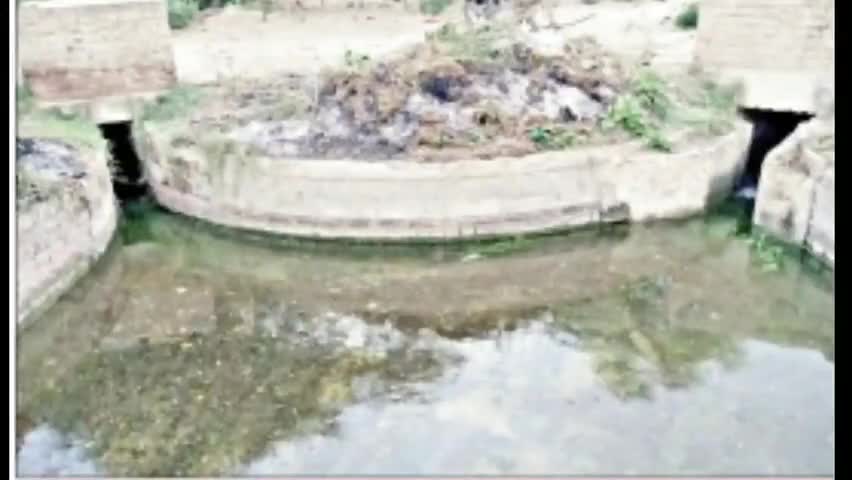 नोहर: नोहर वितरिका में पिट रही है सिंचाई की बारियां, फसलों की सिंचाई व बुवाई से प्रभावित हो रहे हैं क्षेत्र के किसान #सिंचाई