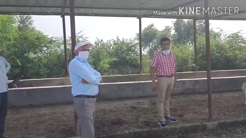 बख्शी का तालाब: उसरना,अल्दमपुर, किशुनपुर और पहाड़पुर पशु आश्रय स्थलों का प्रमुख सचिव पशुपालन ने किया औचक निरीक्षण #प्रमुख_सचिव