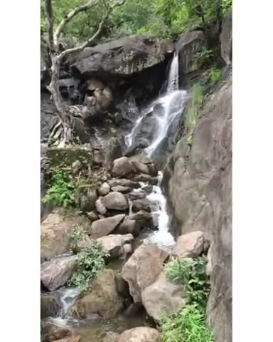 आबू रोड: mount Abu water fall #mountabu #rajasthan #sirohi #public #publicindia #foryou #foryoupage