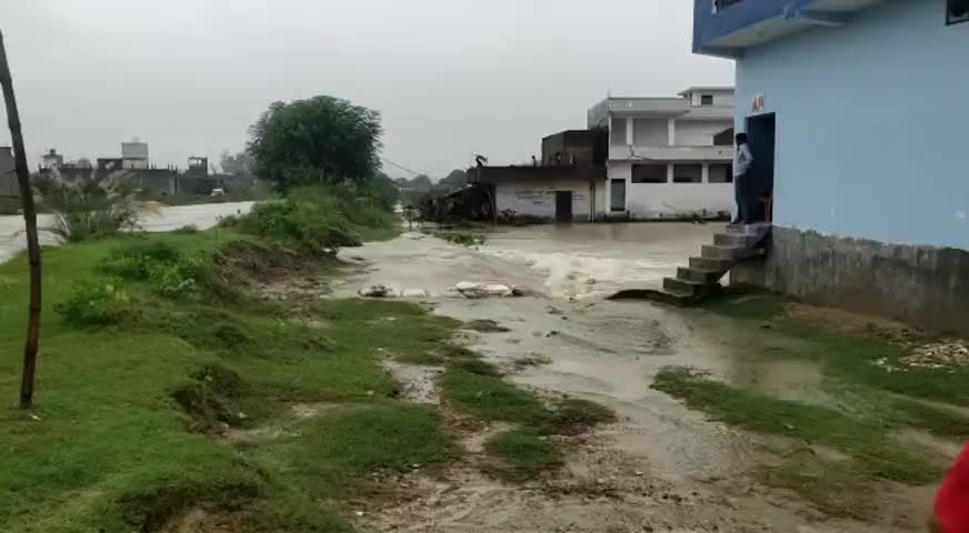 सर सैय्यद पब्लिक स्कूल क़े सामने नहर कटने से सैकड़ो घर पानी की चपेट मे आ गए है... मोके पर पहुचे जिलाधिकारी... 🙏#yogiadity