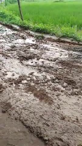 मिर्ज़ापुर: कुनदरूफ अटारी पो. लालपुर नौडिहा थाना व तहसील मडिहान मिरजापुर उ प्र आदिवासी कोल बस्ती की मेन सड़क हैं  #प्रसासन 🙈