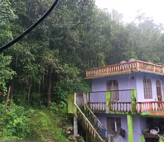 पिथौरागढ़: पिथौरागढ़ के मुवानी, थल,नाचनी, मुनस्यारी में मूसलधार बारिश हुई हैं बकरी, बैल,बारिश में फस गई है#उत्तराखंड#पिथौरागढ़