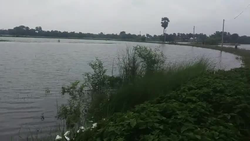 सरैया: बसंतपुर गाँव मे  आया बाढ़ का पानी #Bihar Flood #sarangpur_news #Bheldi
#Flood News
#NkrProduction