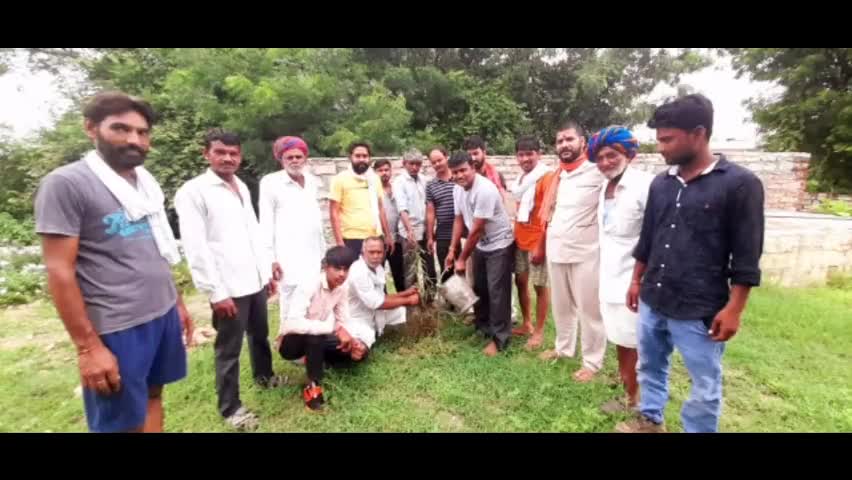 जन्मदिन पर सावा निवासी बाबूलाल कुमावत ने किया पौधारोपण #सावा