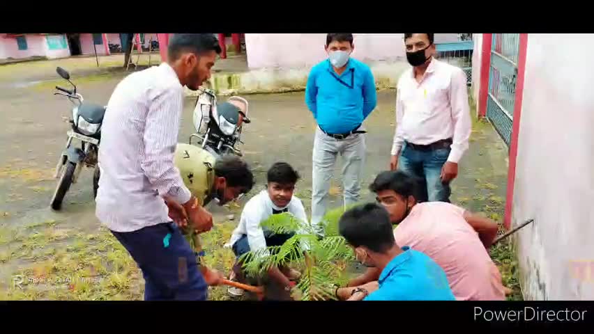 चौरई: चौरई के शासकीय महाविद्यालय में एनएसएस के छात्रों ने किया वृक्षारोपण 🌲 #publickehero #nss ﻿#chourai