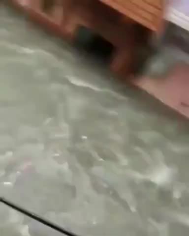 लाडपुरा: Flood in Jaipur
#Jaipur
#Floodjaipur
#Jaipurnews
#jaipurflood