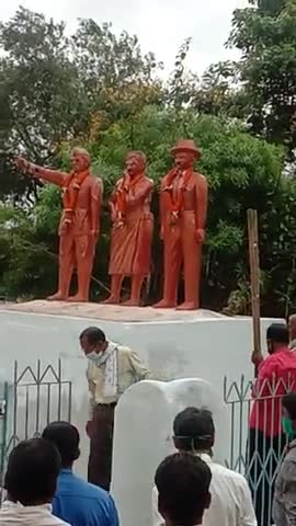 बालोद: #vairl Jamaruwa Balod C.G.