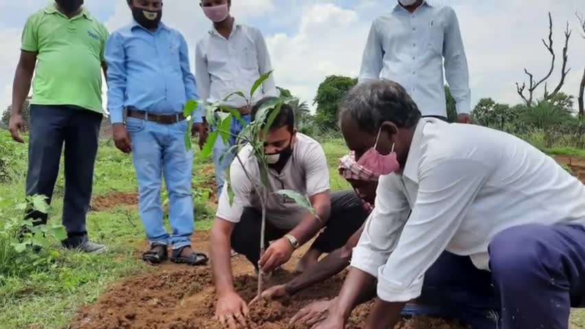 बोआरीजोर: विरसा हरित क्रांति योजना के तहत बोआरीजोर के मोहला ग्राम मे लगाए गए 150 फलदार पौधे #हरियाली