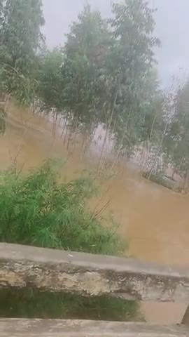 जगाधरी: Salempur-Sadhaura road pr paani sadak pr utra... logo ko aane jaane mei ho rhi pareshaani..#somNadi #sadhaura #Salempur